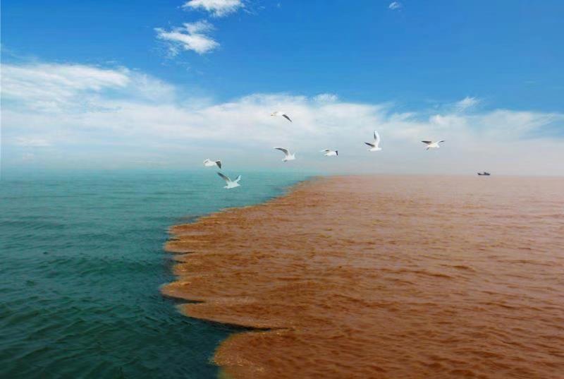 四条河入海猜成语_看图猜成语(2)