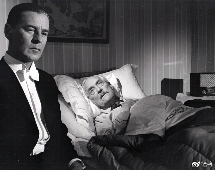 伯格曼是理科生.