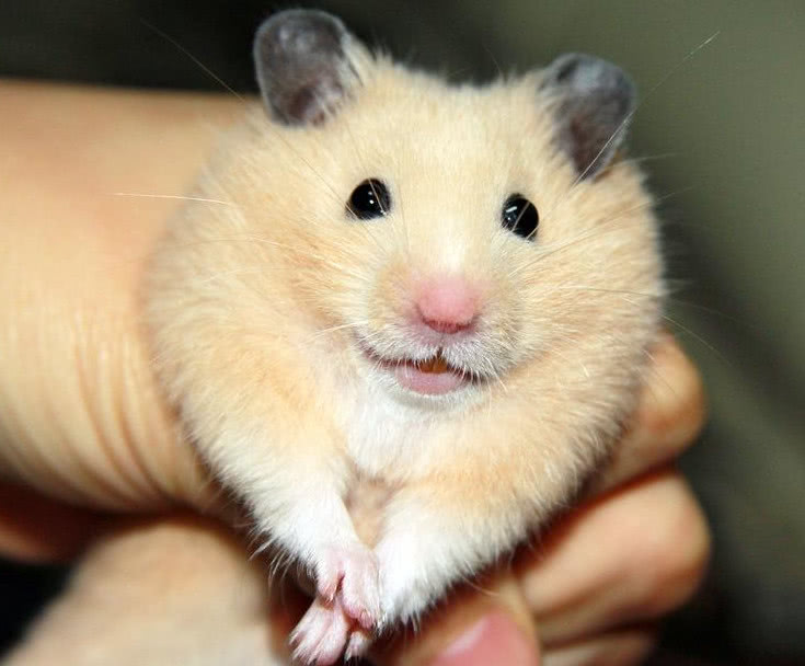 她们在饿起来的时候是会连同类都吃的,所以她们在长大嘴巴的时候才会