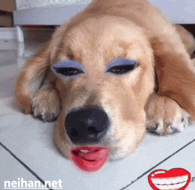 搞笑gif: 单身狗被妹子摸一下之后的眼神, 太准了