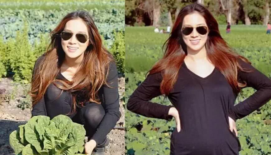 徐子淇生第五胎公公豪赏10亿,郭晶晶生第三胎公公回应八个字