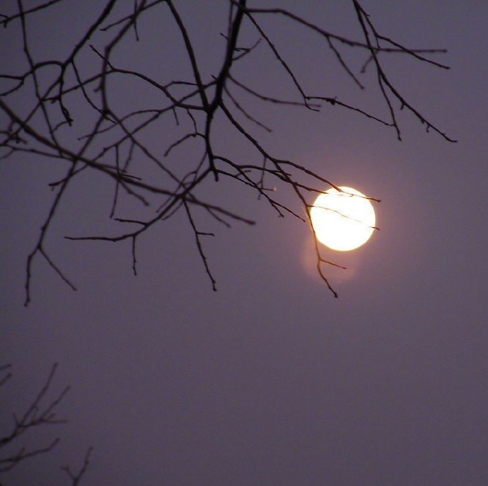 一点禅灯半轮月,今宵寒较昨宵多.晚安