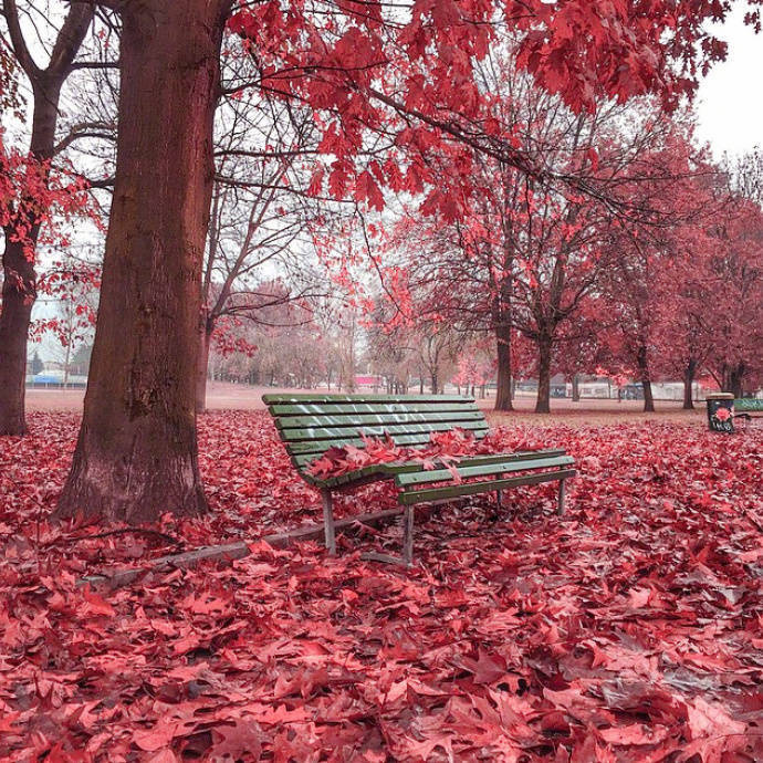 意大利米兰的秋天,梦幻般的童话世界
