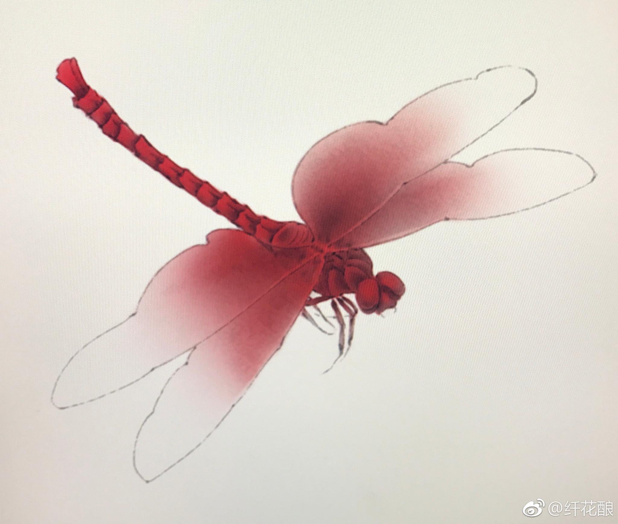 画蜻蜓自己琢磨的画法仅供参考