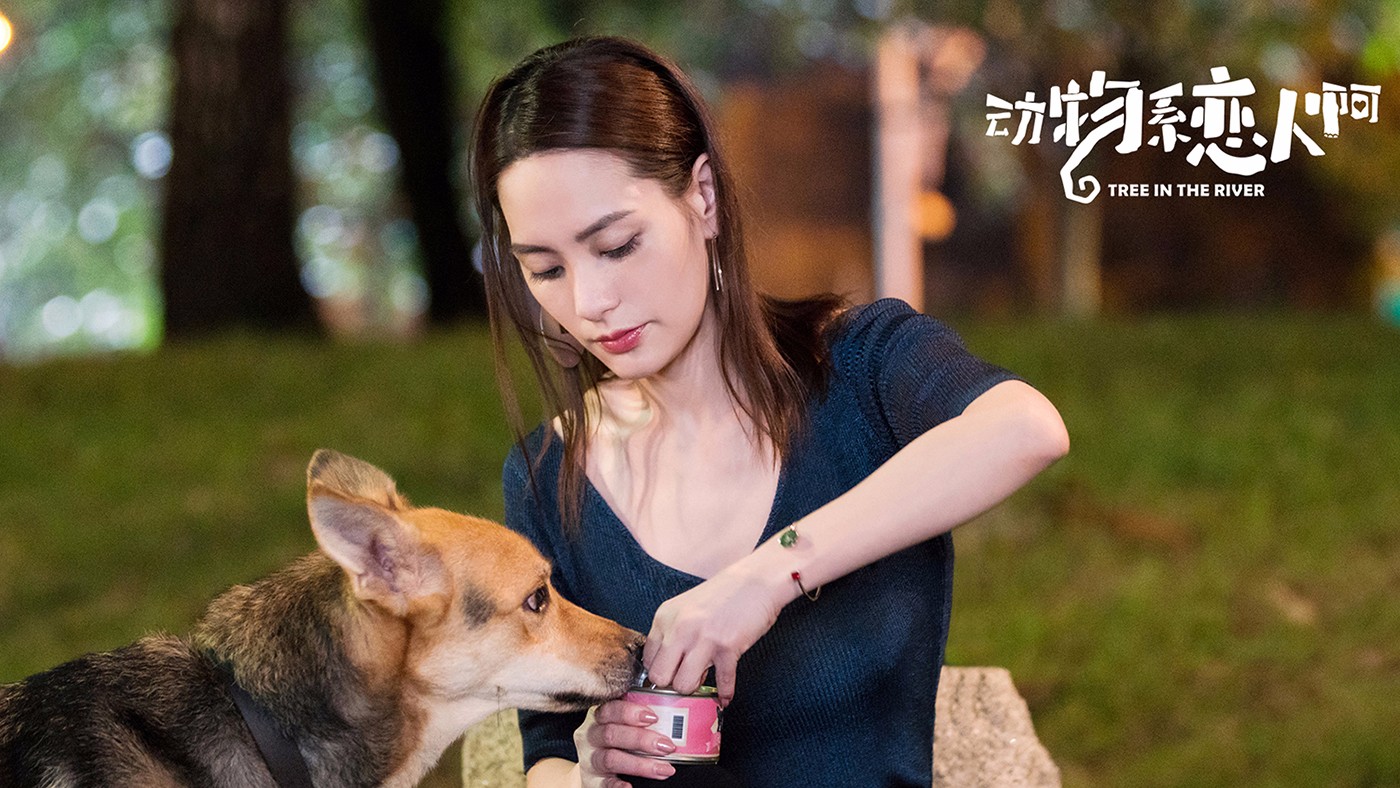 《动物系恋人啊》剧情渐入佳境 阿娇化身行走表情包萌态十足