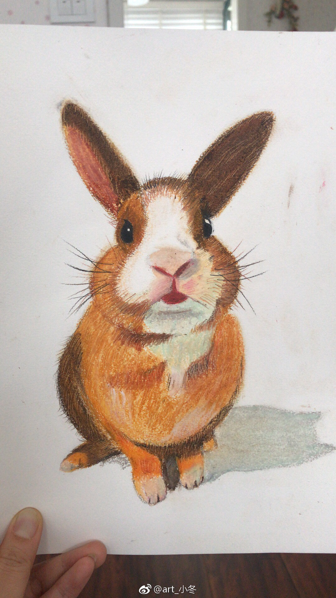 油画棒动物班第一课内容