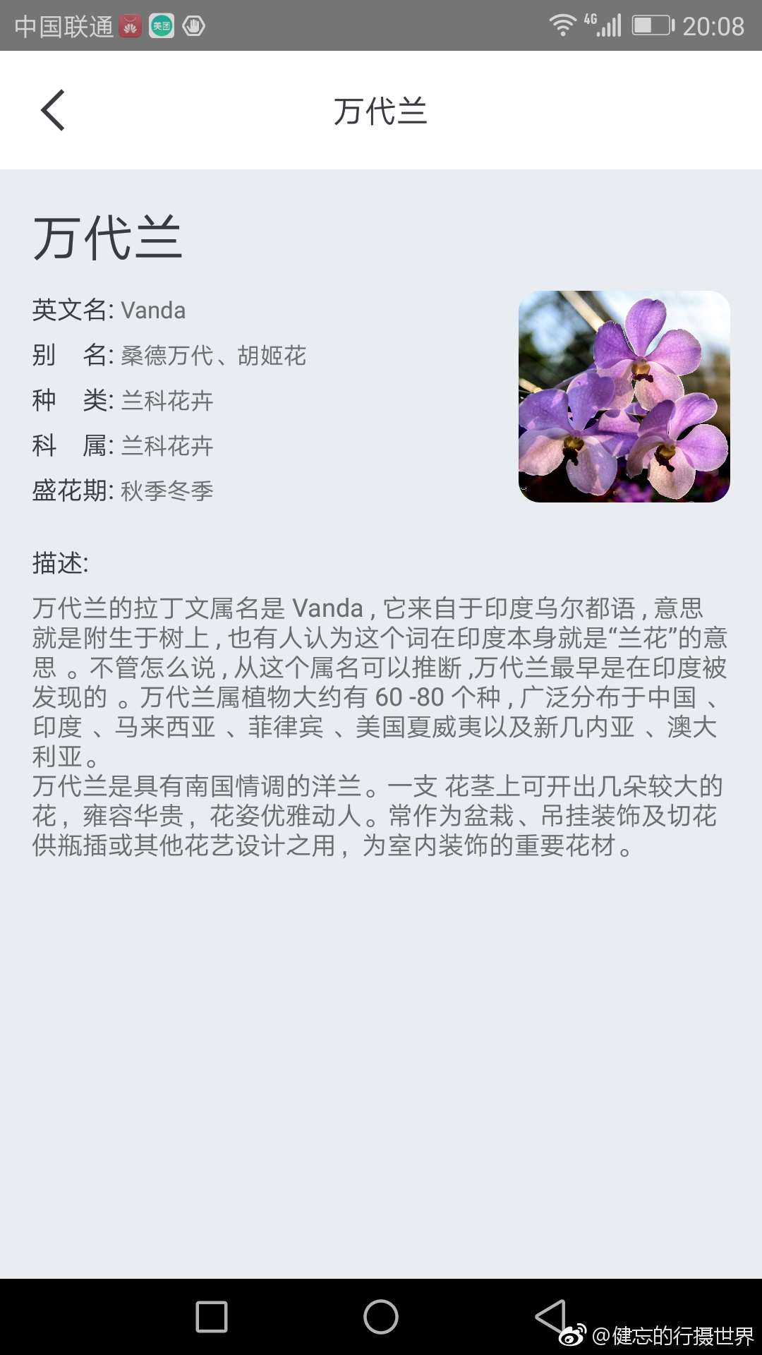 识花的app挺有意思的 这回不怕人问是什么花了