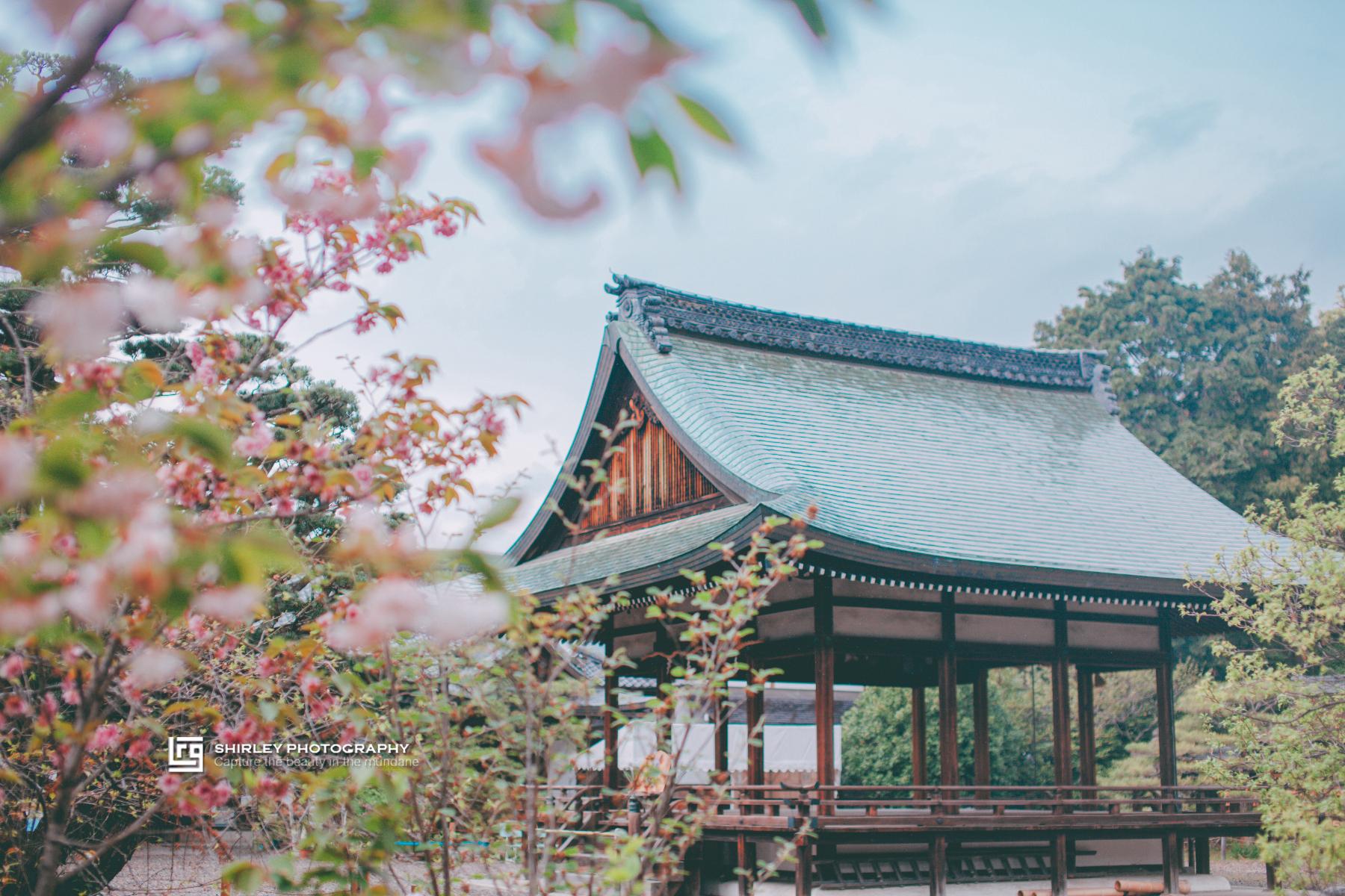 梅宫大社不仅仅只有梅花祭