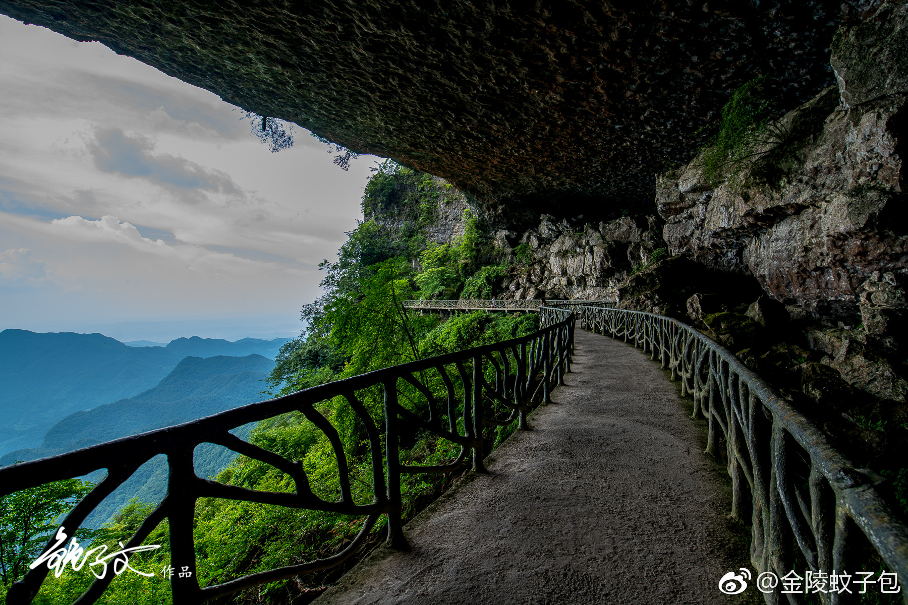 这里是北京遇上西雅图2国内唯一取景地金佛山金龟朝阳