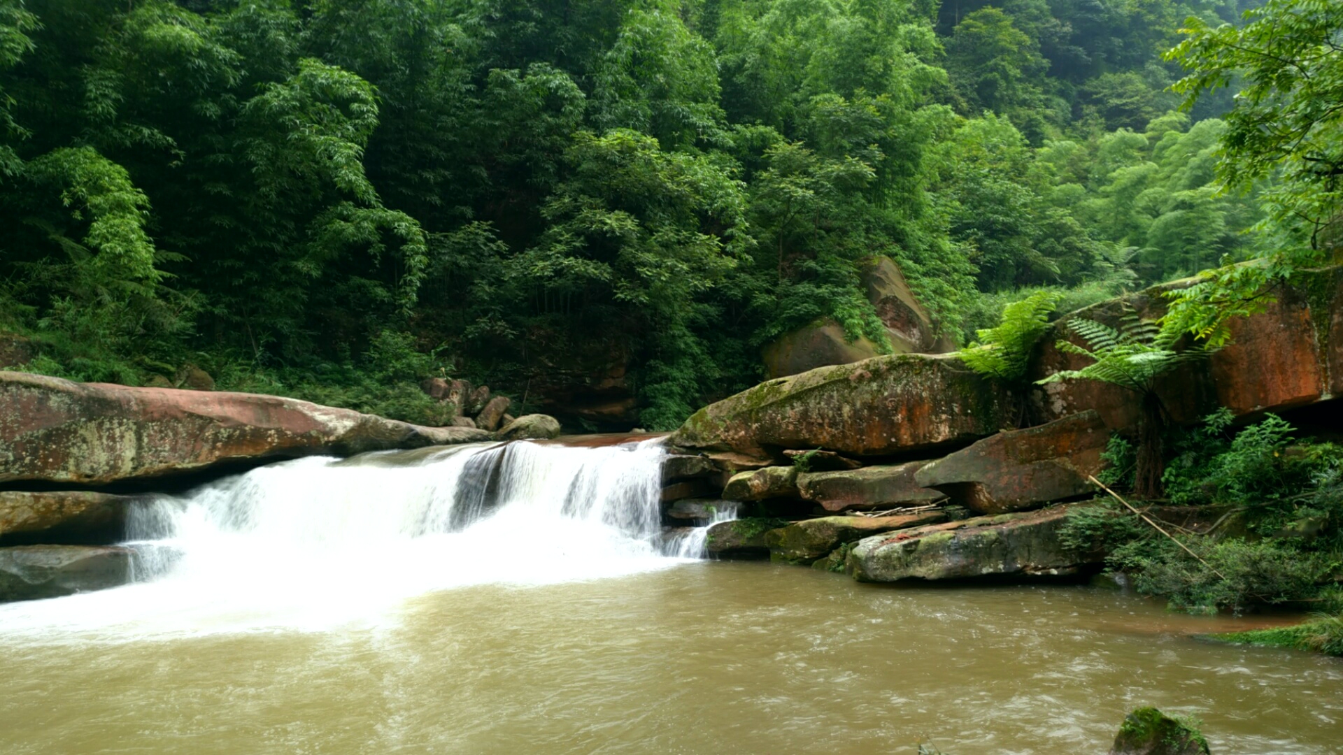 走进泸州叙永画稿溪,这里山清水碧,莺飞燕舞.这里山峦峰岩叠嶂