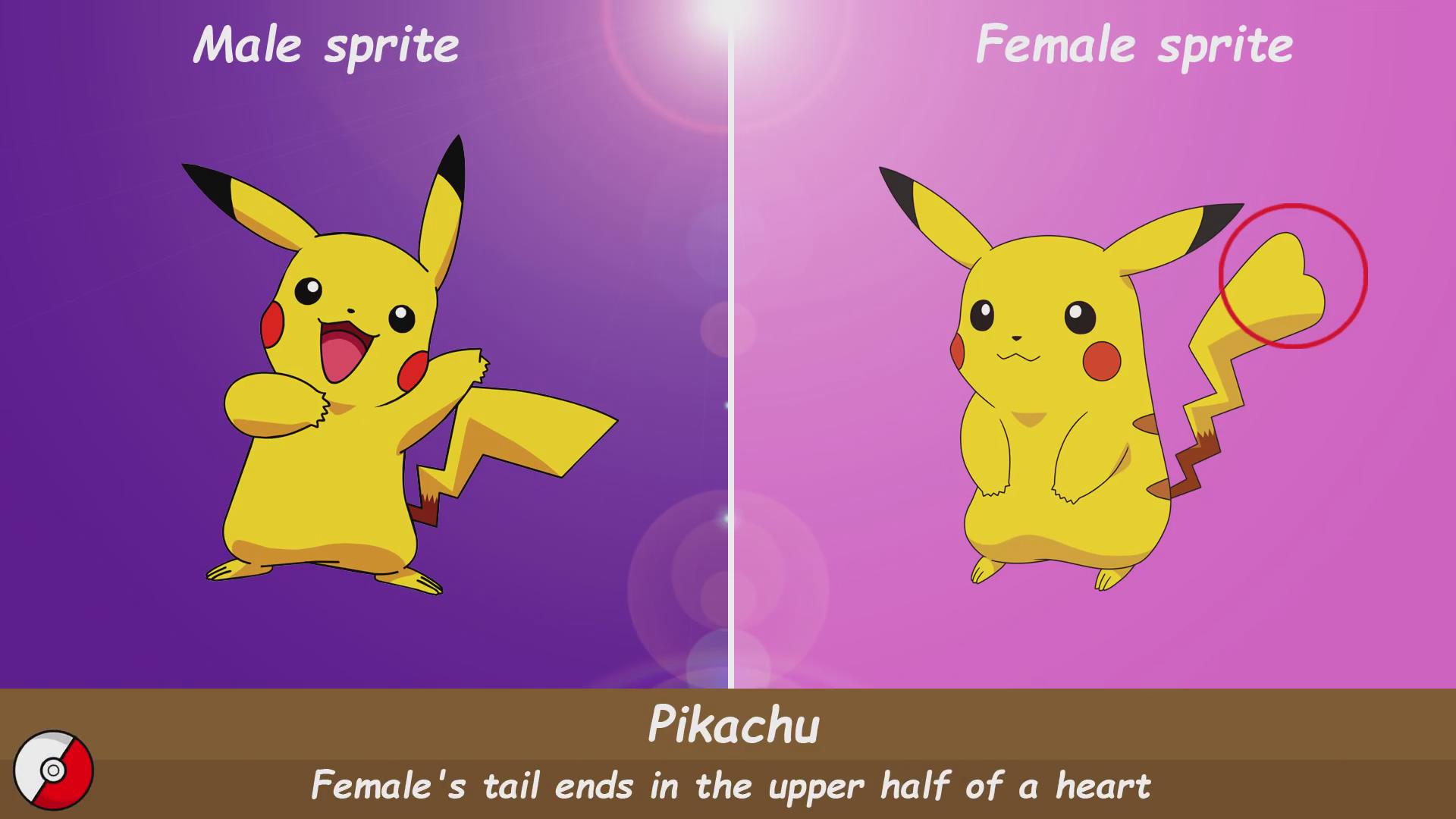 雌性皮卡丘的尾巴现在变成了爱心形状不过在此之前我们今天要来说说