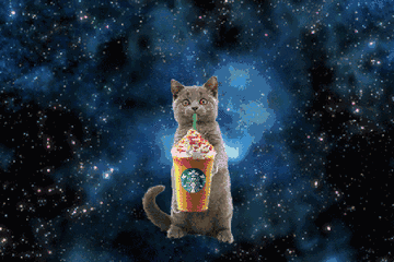 360_240gif 动态图 动图