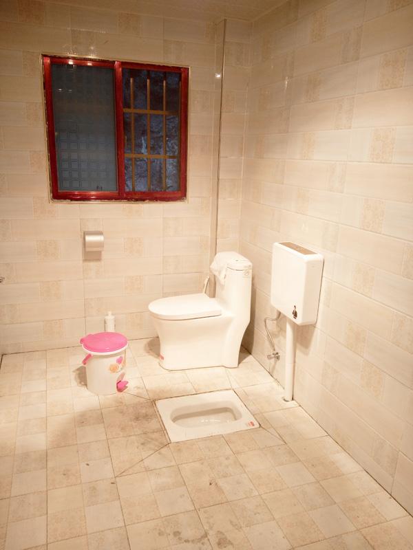 因为家里有公公婆婆,所以一楼的卫生间既装了蹲厕,也装了坐厕,方便