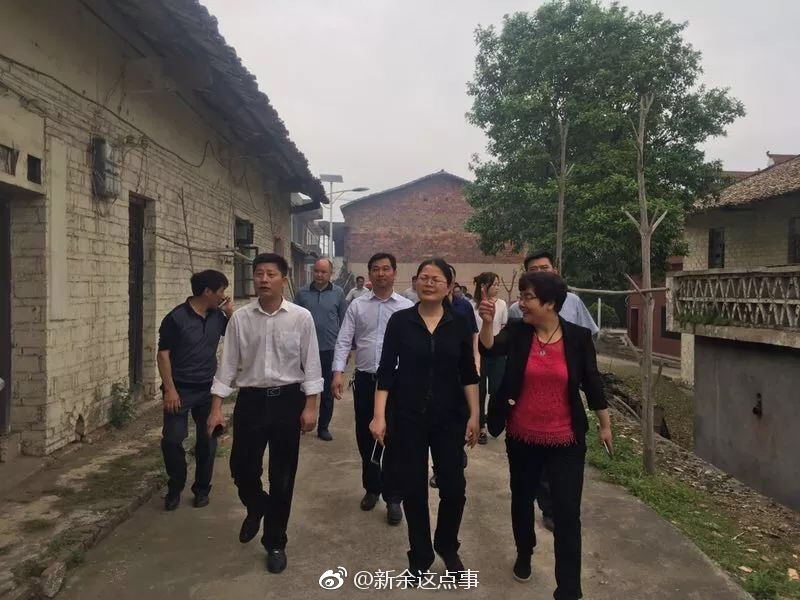 新余渝水区区长李虹深入下村镇调研"拆三房"工作