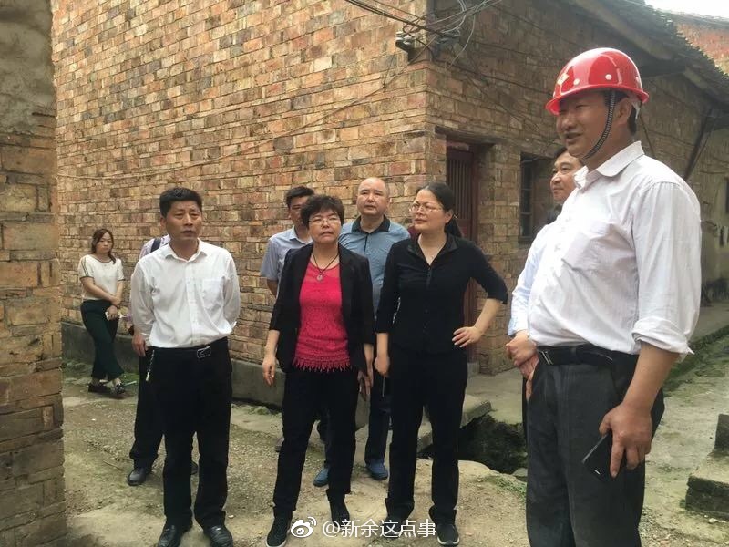 新余渝水区区长李虹深入下村镇调研"拆三房"工作