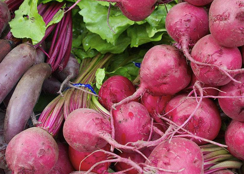 菾菜,甜菜头,红菜头,甜萝卜等,像我们山西这一带还有人管它叫糖菜