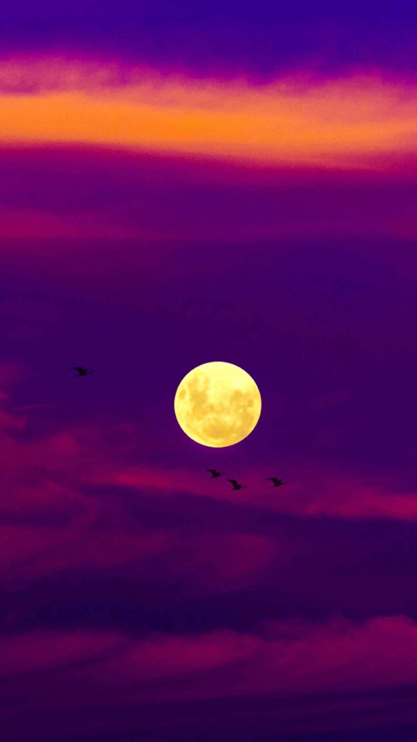 想和你一起看最美的日落 融化成晚霞