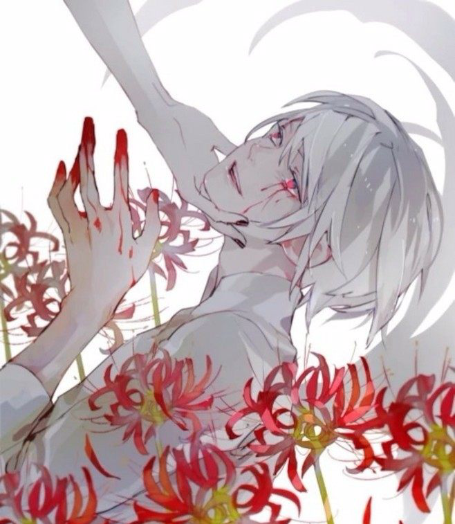 满身伤痕的动漫男女神金木研可怜犬夜叉杀生丸让人心痛不已