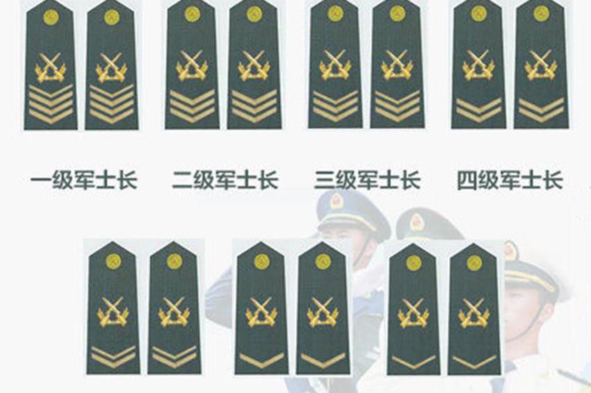 解读:我军士兵军衔及晋升年限|军士长|士官|军衔_新浪新闻