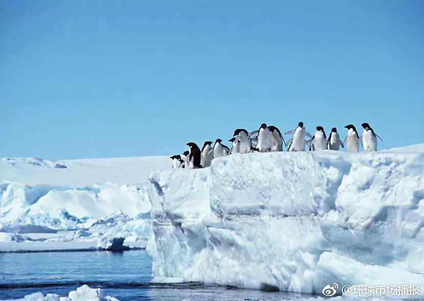 人类快要热死了!特朗普的退群效应又遭网友