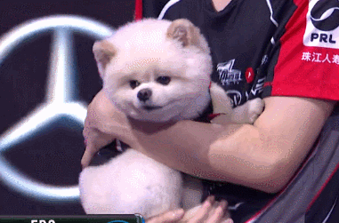 lpl:edg终结了rw的连胜,厂长两次露出了难得一见的笑容