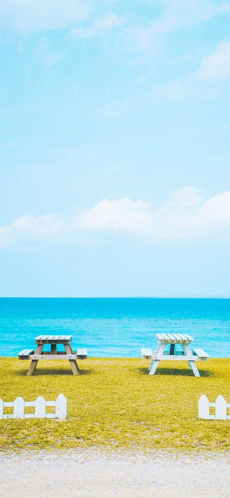 会带来好运的幸运蓝