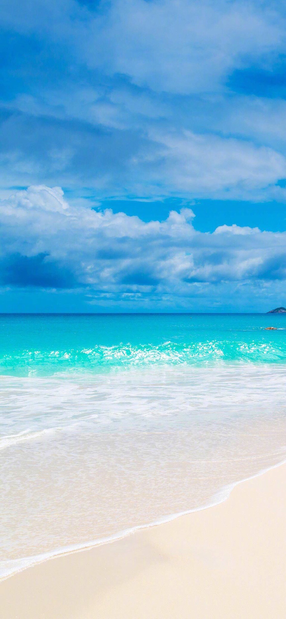 会带来好运的幸运蓝