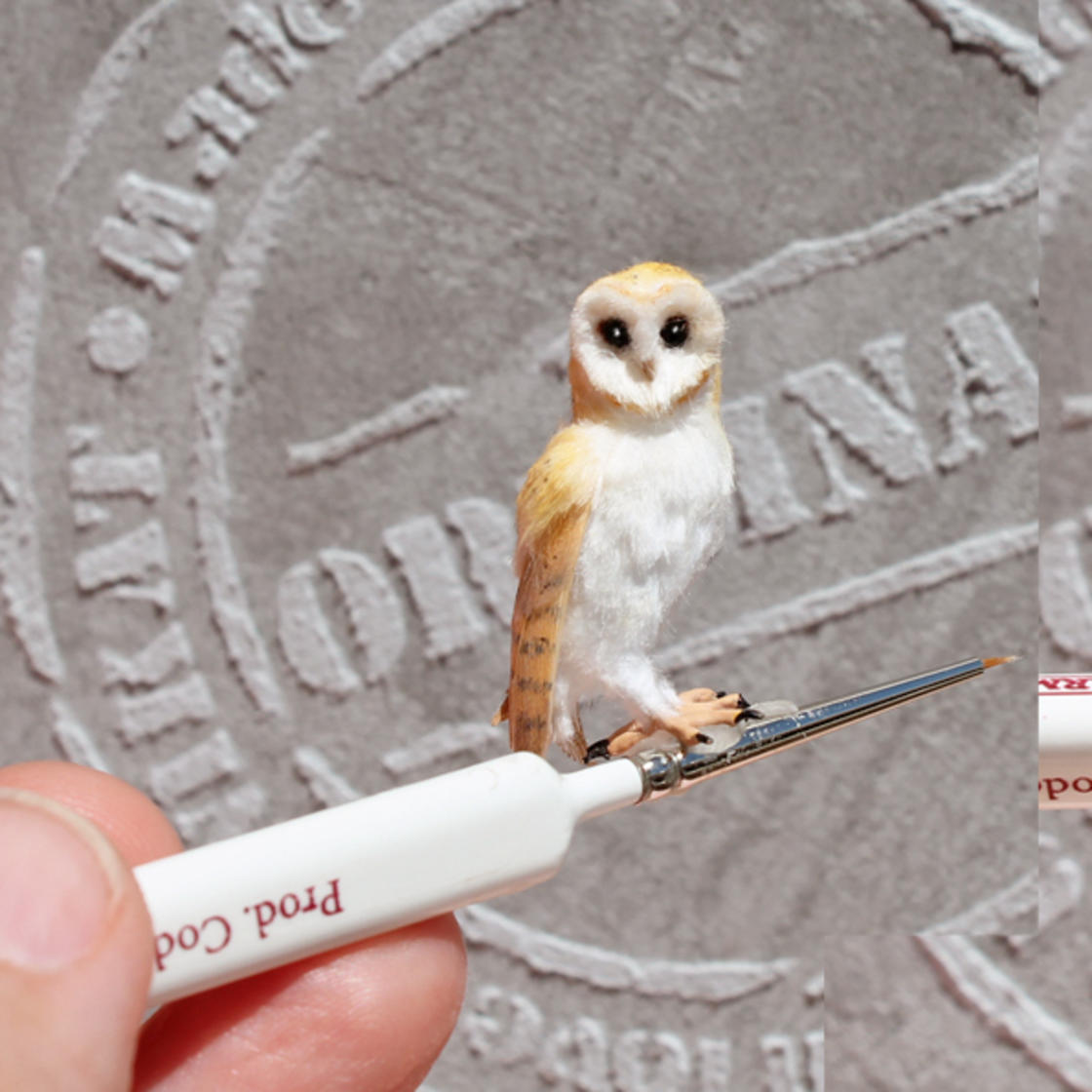 可爱的微型动物 | 丹麦艺术家 katie doka