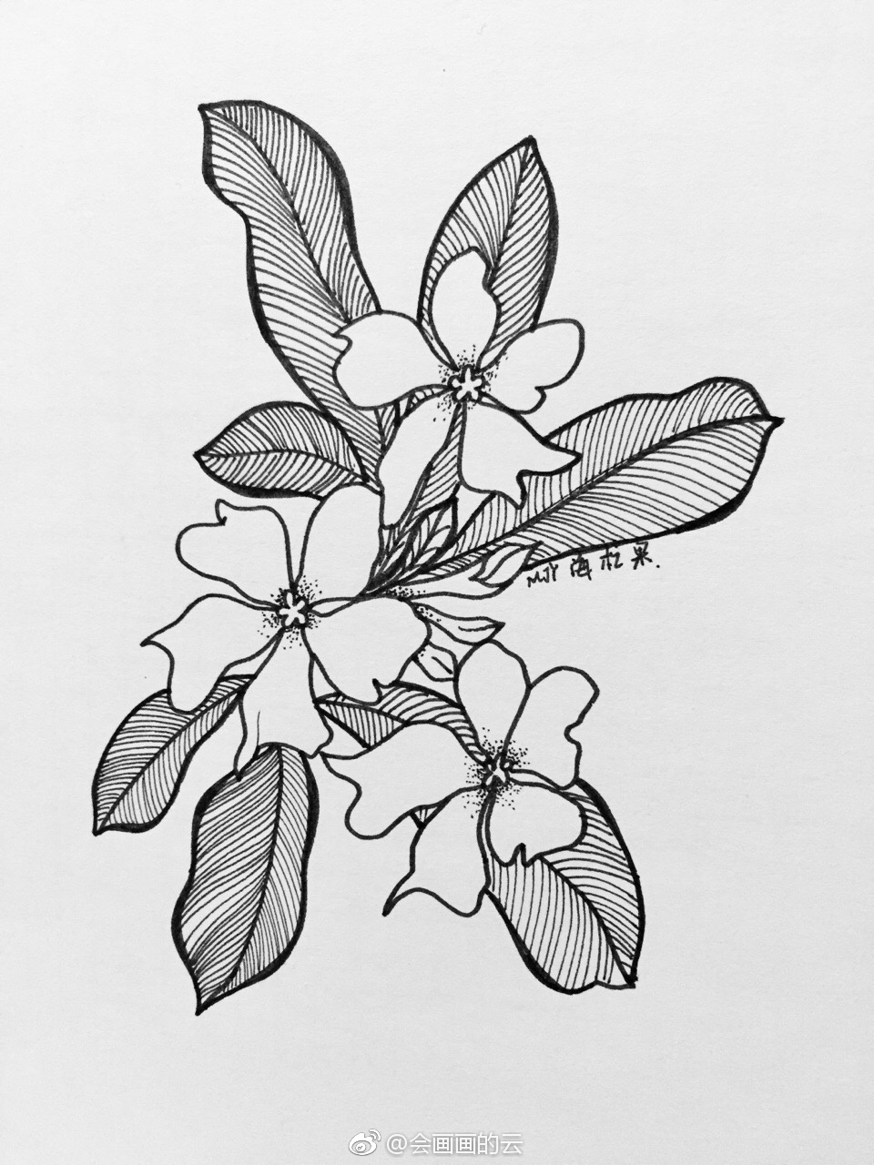 近期线条手绘小集,收图哟作者