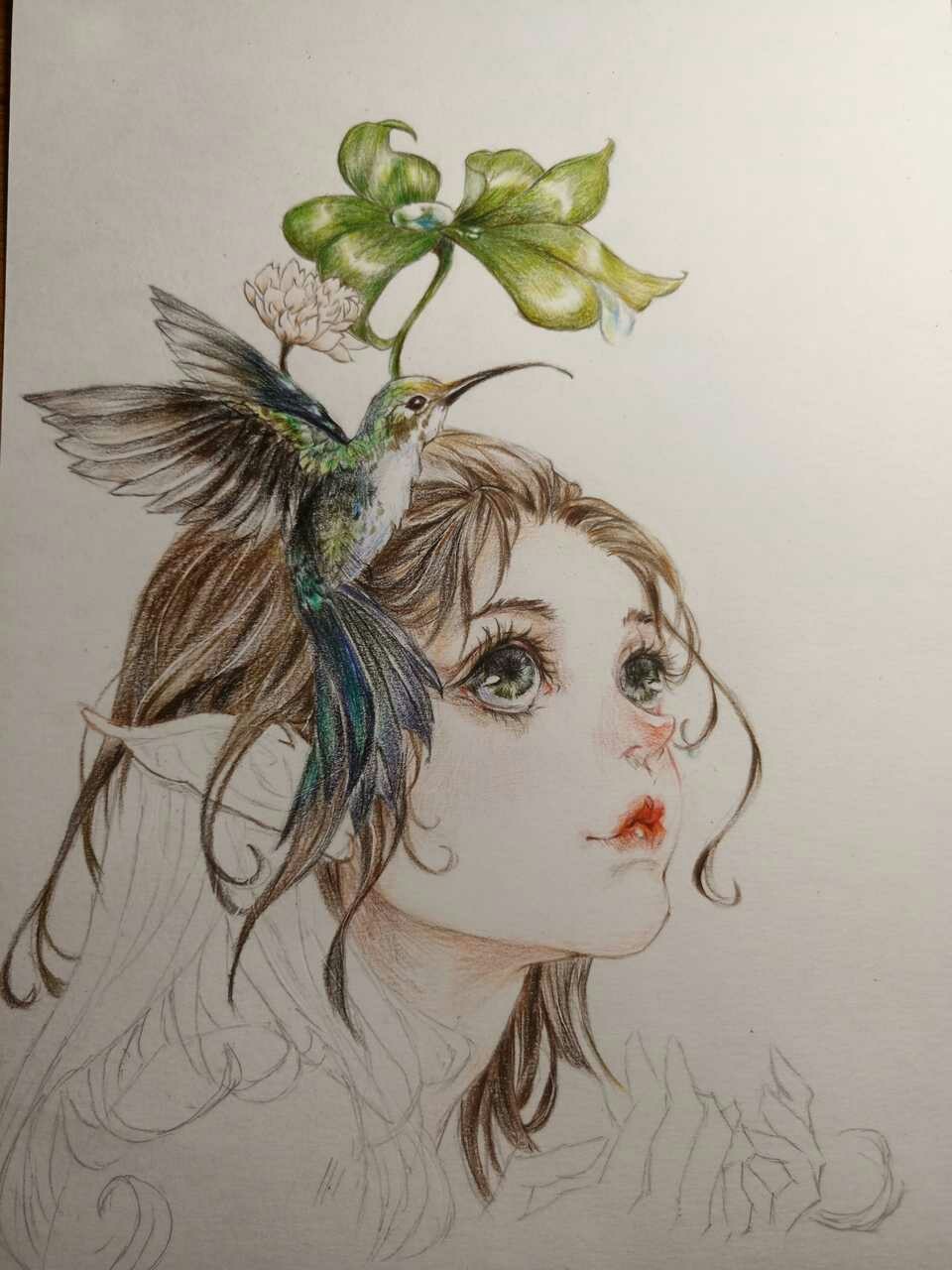 寻鹤归 原作者@古戈力 67精灵入梦来~ | cr.