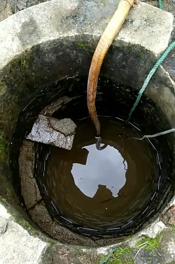 男子抽干老井,捕获井底老鲤鱼,网友:镇井之鱼不能捞