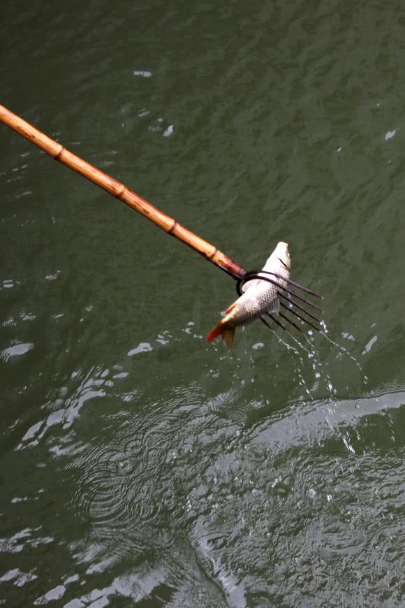 叉鱼既充满刺激又快乐着也考验着人的智慧
