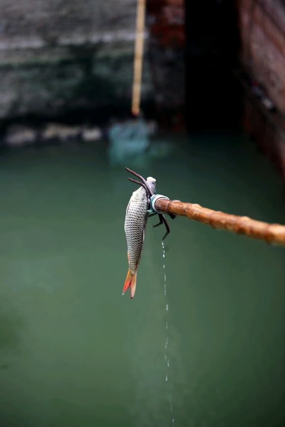 叉鱼既充满刺激又快乐着也考验着人的智慧