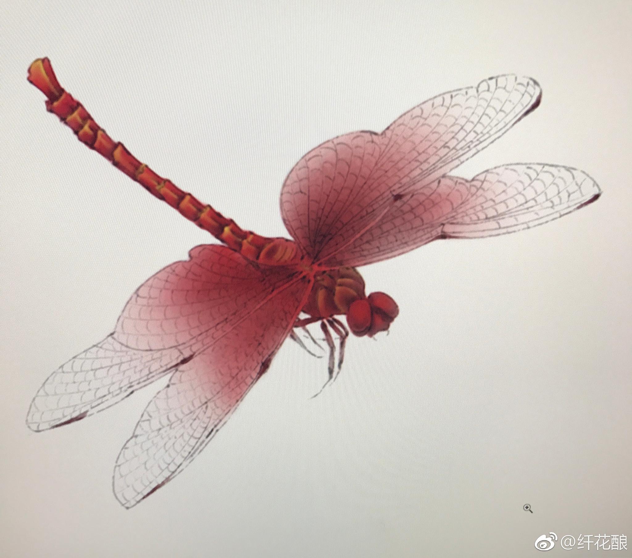 画蜻蜓,自己琢磨的画法,仅供参考.