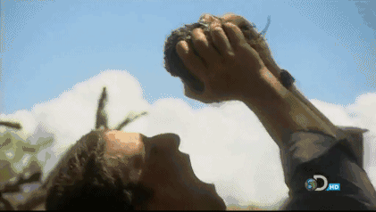 姚明参加贝爷节目拒绝吃蛆,这种蛋白质含量超高的东西你敢吃吗?