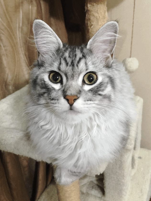 听说眨眼睛的意思是我喜欢你哦 67听说眨眼睛的意