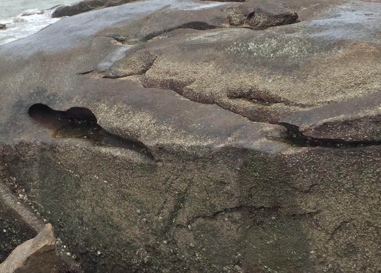 海边奇形怪状的岩石, 还长着密密麻麻的什么东西