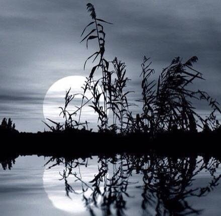 唯见江心秋月白