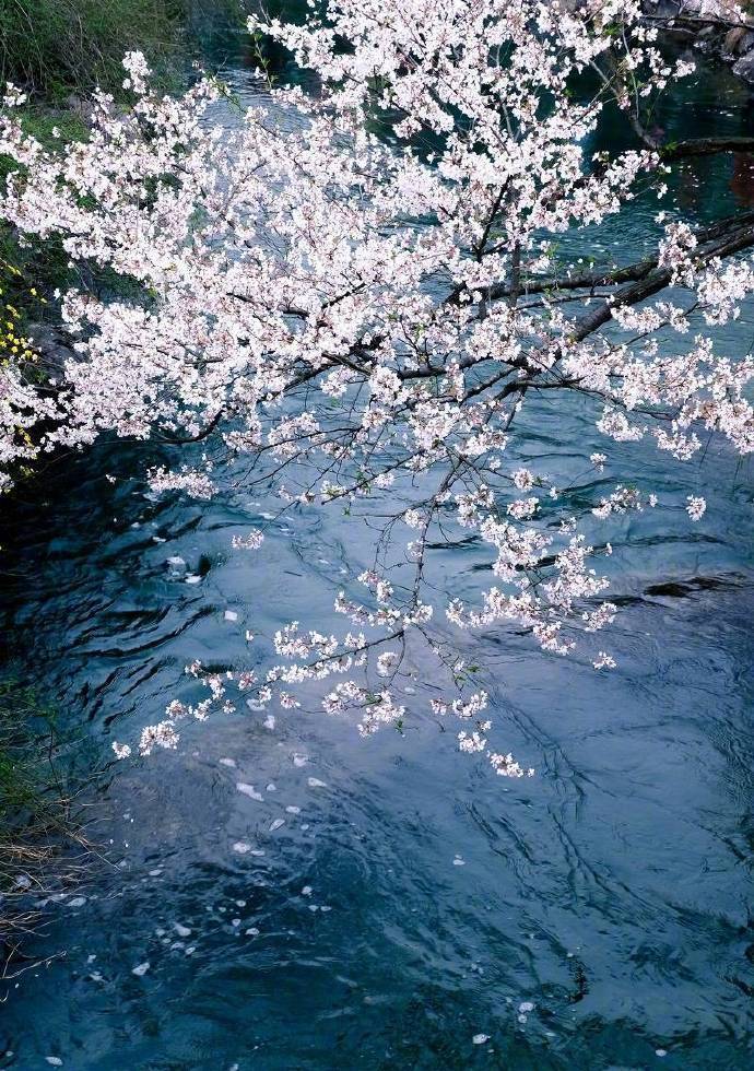 人间美景四月天