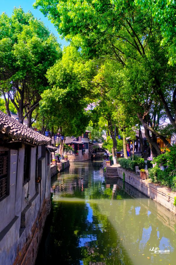 小桥流水江南,在古镇古韵的江浙邂逅最美的春天