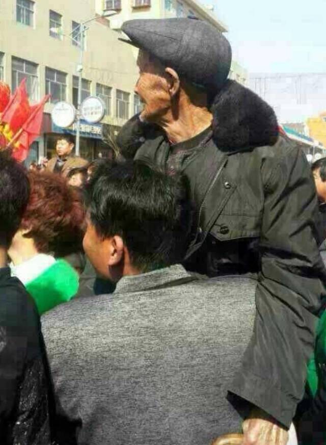 左权山里的树叶几月份红