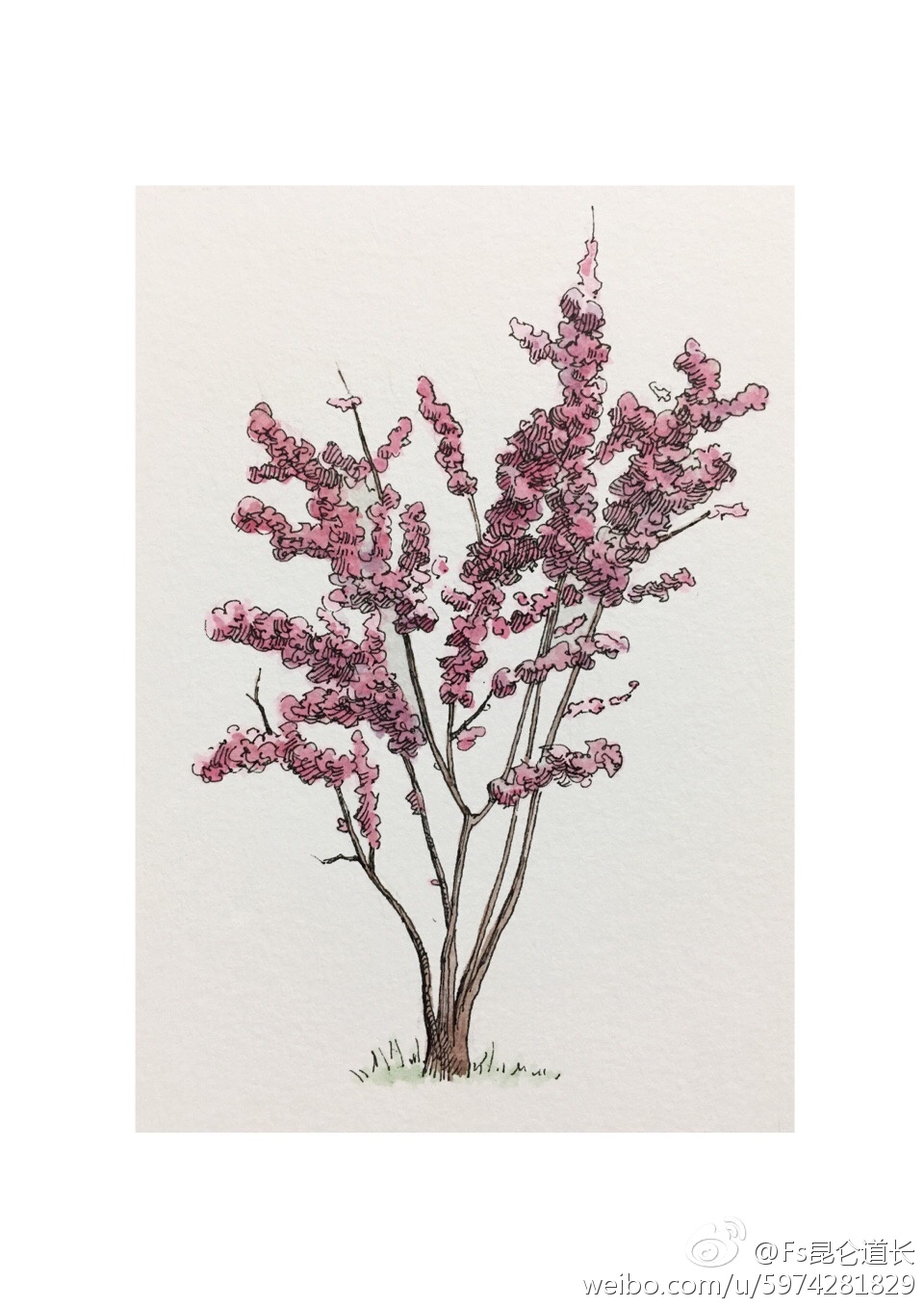 水彩表现 立面树 作者