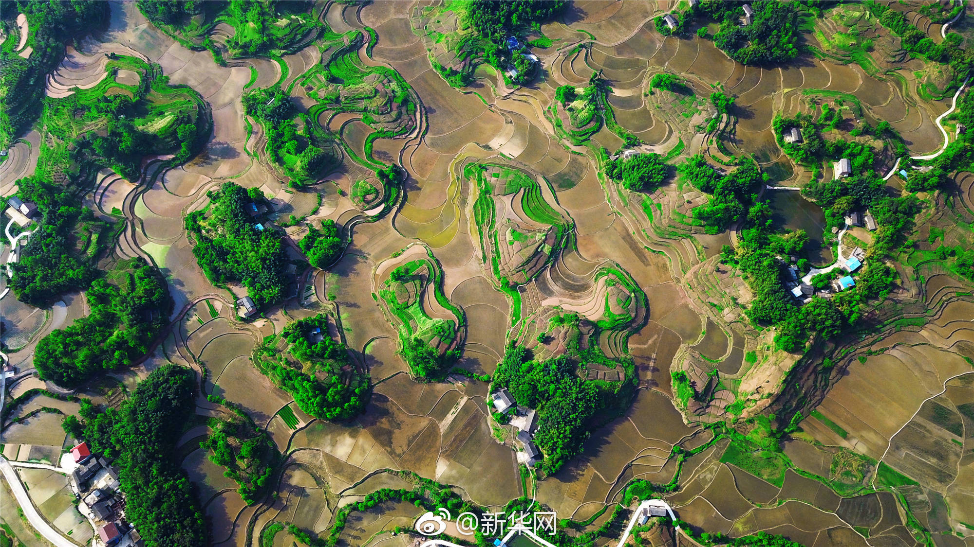 五月,重庆梁平的多彩丘陵间,平川田园里,处处是生机勃勃的景象