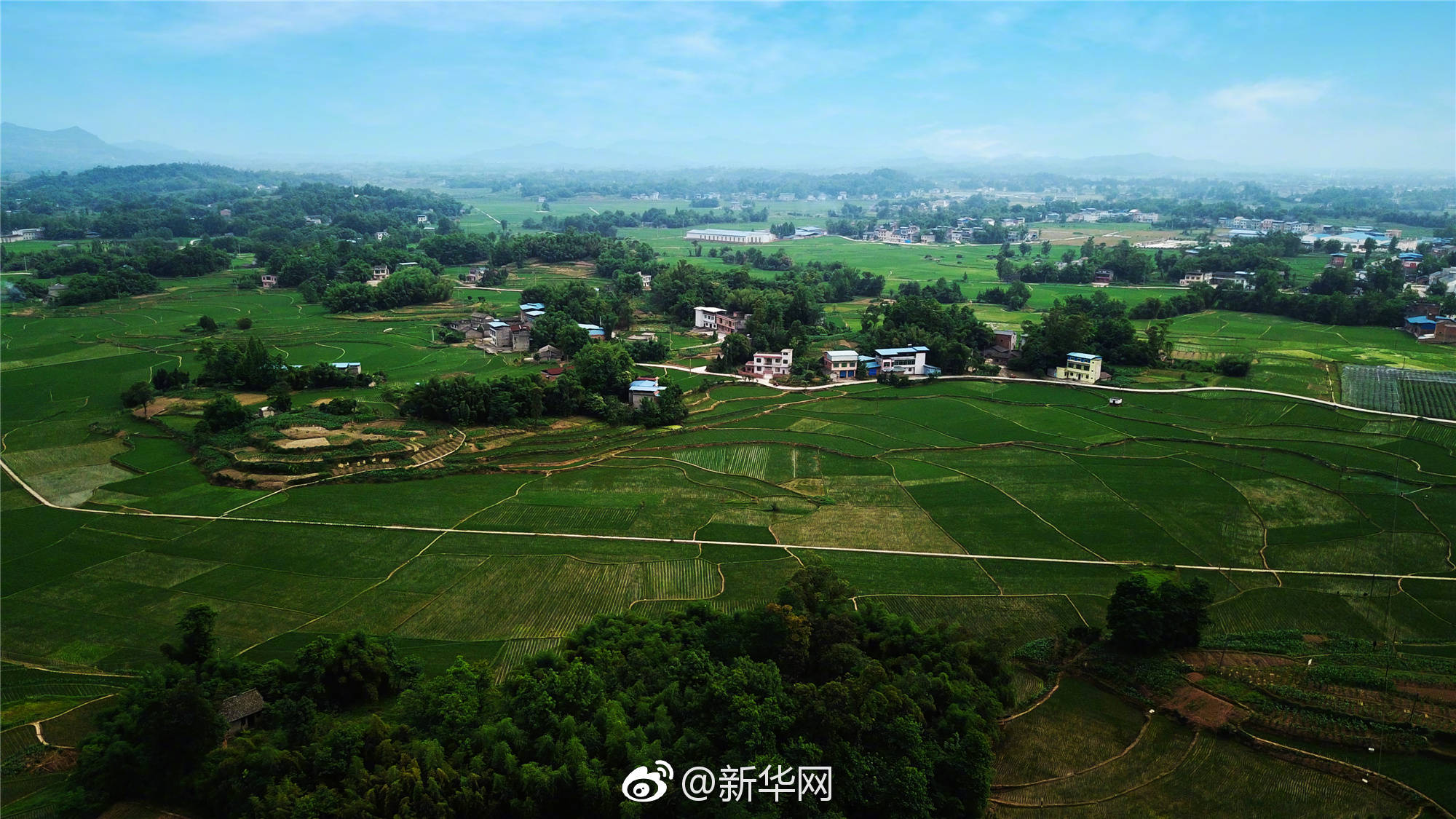 五月,重庆梁平的多彩丘陵间,平川田园里,处处是生机勃勃的景象