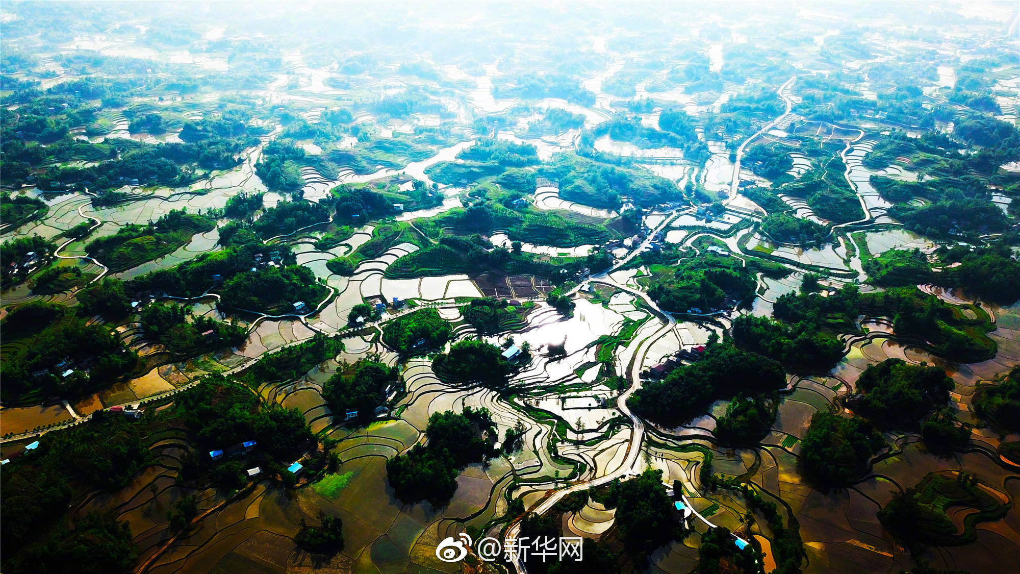 五月,重庆梁平的多彩丘陵间,平川田园里,处处是生机勃勃的景象