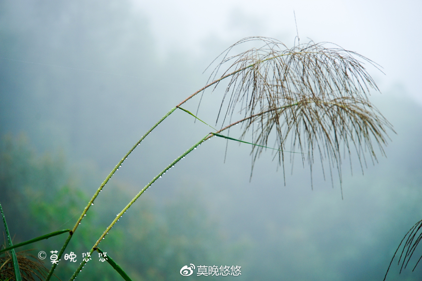 爱旅行的人,纵使六月的雨淅淅沥沥,也阻止不了一颗想要出行的心.