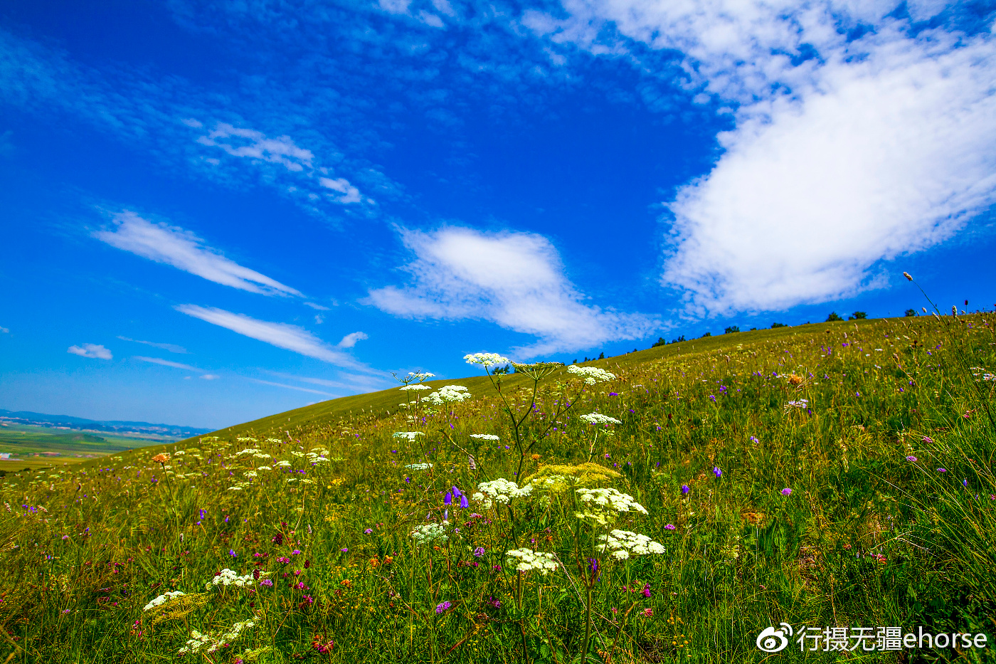 令人流连忘返的美丽乌兰布统草原