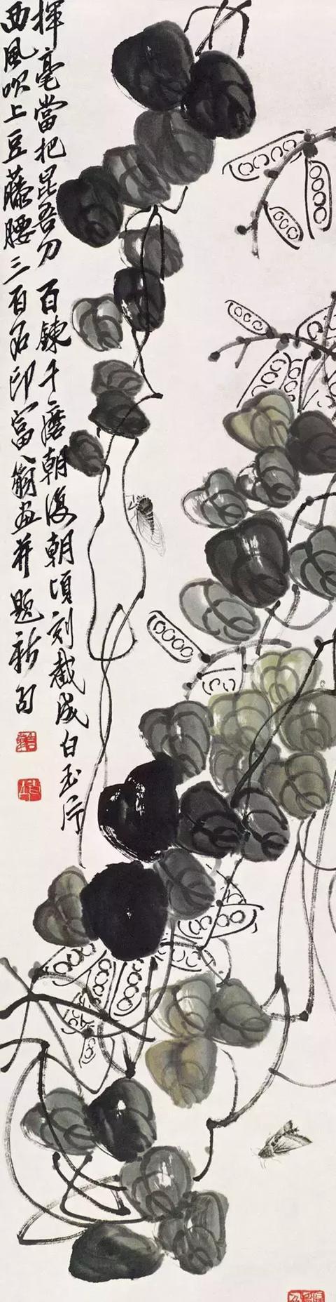 齐白石88岁画的蝉进来尖叫吧
