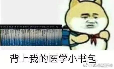 编程|表情包|医学生_新浪新闻