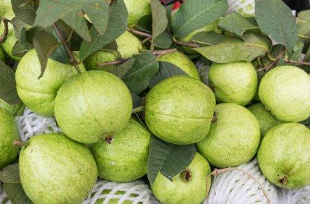 这种水果绝对是天然"减肥果",促消化,补营养,难得的良药